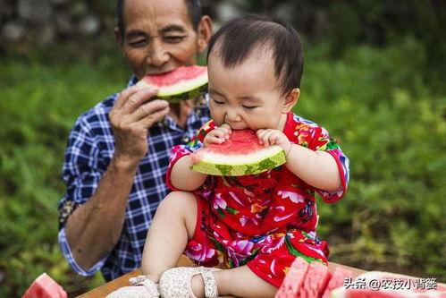 小金贝贝瓜怎么吃,小金贝贝瓜的多样食法探索