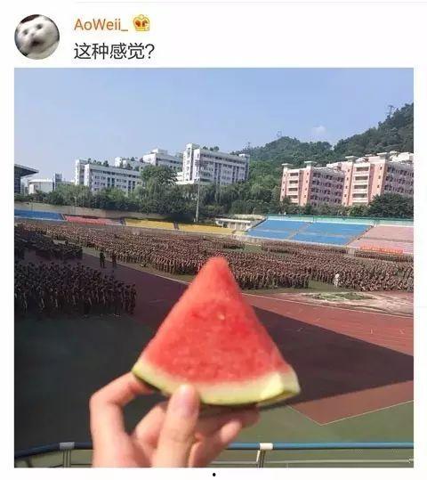 吃瓜许学姐,网络红人的崛起与影响力