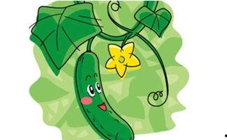 吃瓜找朋友文案,一起寻找志同道合的趣味伙伴