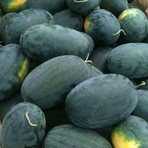 带你吃瓜武汉,带你吃遍“带你吃瓜”特色小吃