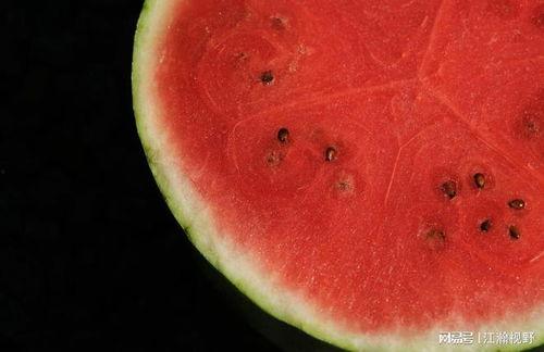 吃瓜咋不问价钱,为何不问价钱？