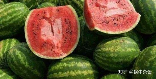 去同事家里吃瓜