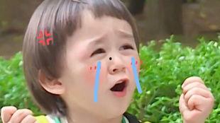 吃瓜少年本特利,吃瓜少年本特利的趣味人生解码