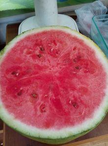 福建医院吃瓜,揭秘背后的真相与争议