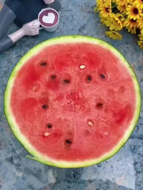 便捷吃瓜神器,尽享美食盛宴——便捷吃瓜神器全面解析