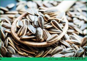 我吃瓜子你吃瓜怎么吃,共享瓜子时光的温馨瞬间