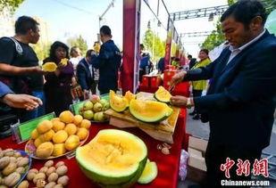 吃瓜吃酒看世界,洞察世间万象