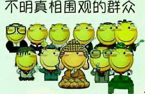 青蛙服吃瓜群众,吃瓜群众热议不断