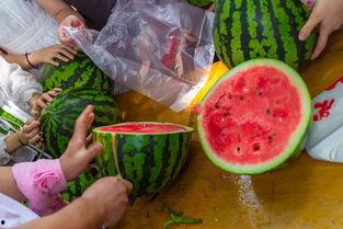 广州吃瓜视频,吃瓜视频带你尝鲜