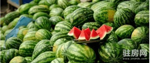 恋湖花园吃瓜,揭秘网红小区的吃瓜日常