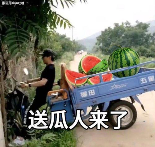 吃老汉瓜文案,探寻“吃老汉瓜”的独特魅力