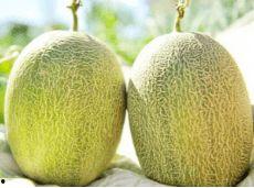 吃瓜兮儿,揭秘娱乐圈背后的那些事儿