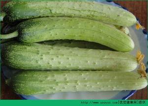 拉瓜能和白菜一起吃吗,营养互补的美食探索