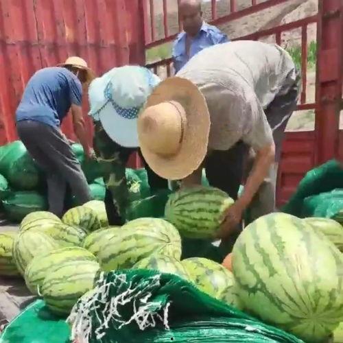 保山吃瓜群众,揭秘当地独特美食文化