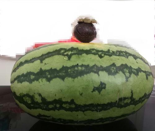 大家吃的瓜,揭秘明星们的甜蜜瓜田