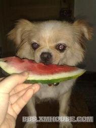 吃瓜小乖,揭秘娱乐圈那些不为人知的幕后故事